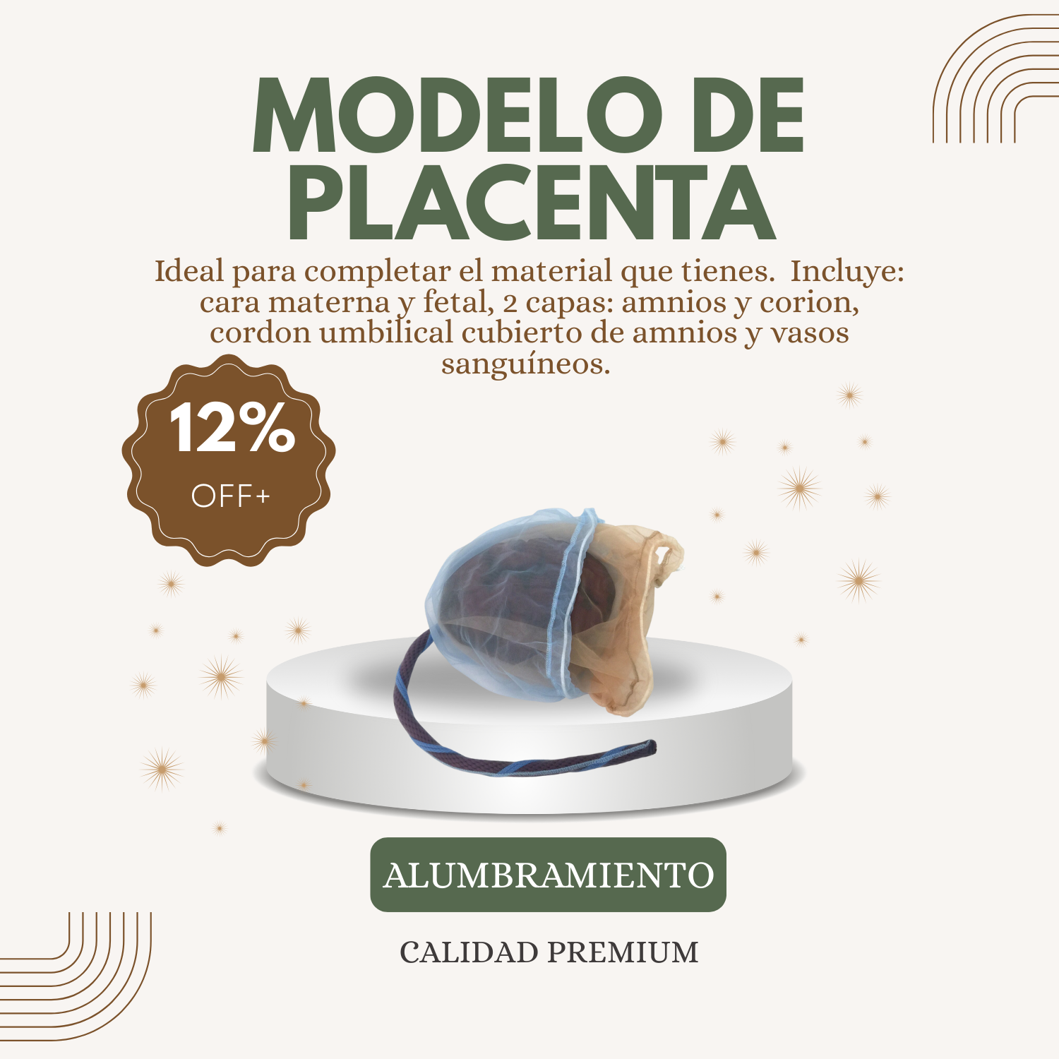 Placenta y cordón umbilical.